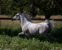 MoonHeiress18_0663