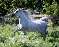 MoonHeiress18_0668