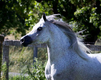 MoonHeiress18_0671