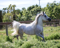 MoonHeiress18_0683