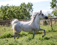 MoonHeiress18_0685
