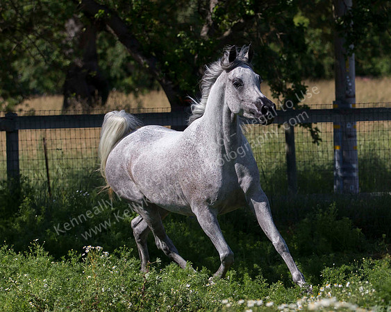 MoonHeiress18_0706