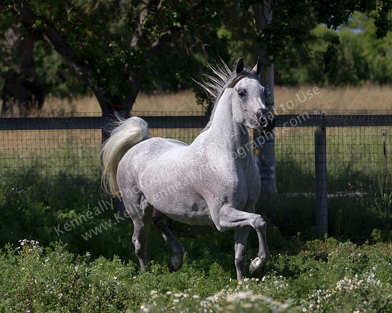 MoonHeiress18_0708