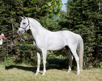 KKP_0121