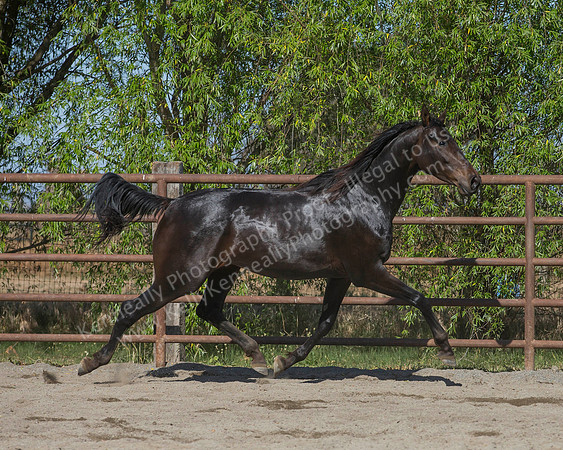 VHC18_0296