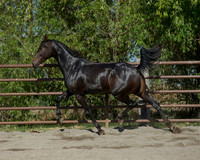 VHC18_0314