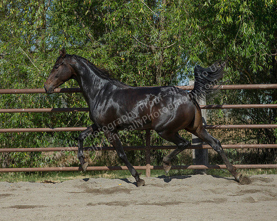 VHC18_0314