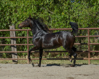 VHC18_0321