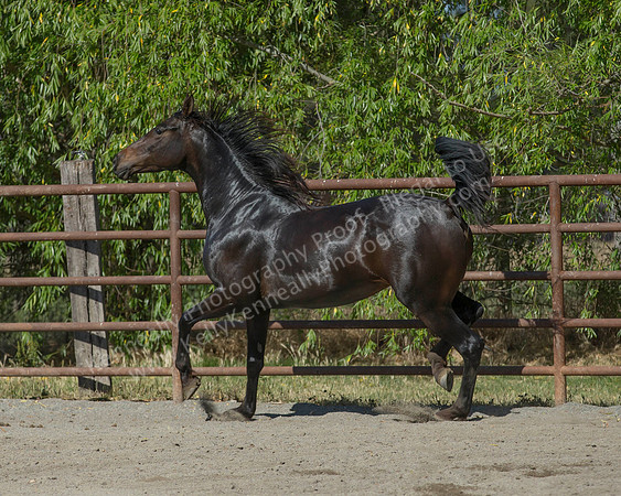 VHC18_0321
