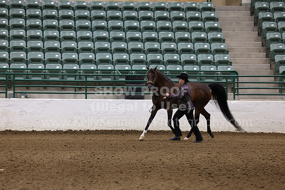 R322_CH_Thurs_2641