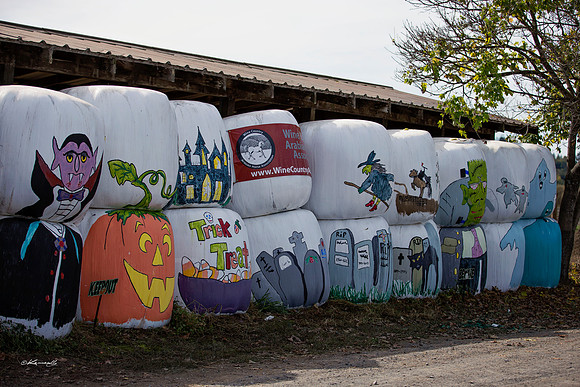 2016_HalloweenOpenShow_134