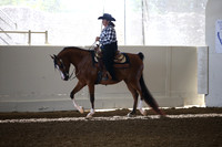 Class 5 Arabian Western Pleasure Ladies & Gentlemen to Ride