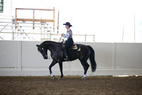 Class 7 HA/AA Western Pleasure Ladies & Gentlemen to Ride