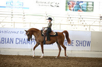 Class 9 A/HA/AA Walk Jog Western Pleasure  Riders 10 yrs/under