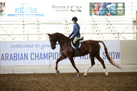 Class 10 HA/AA Hunter Pleasure  Ladies & Gentlemen to Ride