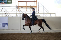 Class 12 HA/AA Country English Pleasure JTR 18 Yrs & Under