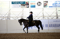 Class 15 Western Horsemanship AATR 19 Yrs/Over