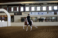 Class 17 HA/AA Ladies Side Saddle Open