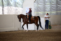 Class 18 Arabian Western Pleasure AAOTR 50 Yrs Over