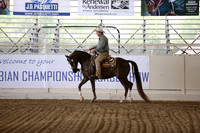 Class 19 HA/AA Western Pleasure Junior Horse 5 Yrs & Under