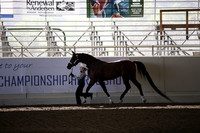 Class 4 Showmanship Walk Trot-JTH 10 Yrs /Under