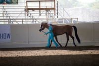 Class 1 Showmanship AATH 19 Yrs/Over