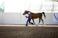 Class 3 SHowmanship JTH 11-13Yrs