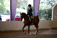 Class 23 Hunter Seat Equitation Not to Jump -JTR 18 Yrs / Under