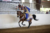 Class 30 Arabian Mounted Native Costume