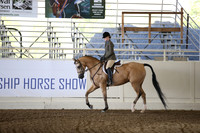 Class 31 HA/AA Hunter Pleasure AATR 19 Yrs/Over