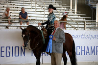 Class 32 Arabian Western Pleasure JOTR 18 Yrs/Under