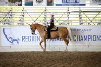 Class 36 HA/AA Western Pleasure JTR Select