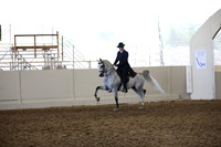 Class 191 HA/AA English Pleaaure  ATR