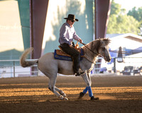 Class 42 Reining Open