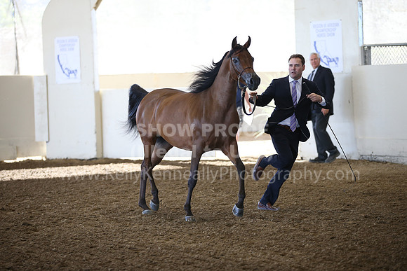 R318_SatAM_3558