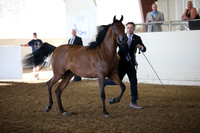 R318_SatAM_3559