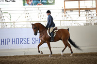 Class 212 Reg 3 Arabian Hunter Pleasure Championship AAOTR 50 Yrs & Over