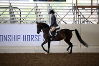 Class 218 Reg 3 Arabian Hunter Pleasure Championship JTR Select