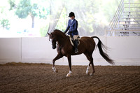 Class 219 HA/AA Hunter Pleasure Championship Junior Horse 5 yrs & Under