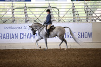 Class 221 Reg 3 Arabian Hunter Pleasure Championship AATR Choice/ Elite
