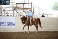Class 222 Reg 3 Arabian Western Pleasure Championship Junior Horse 5 yrs under