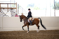 Class 224 Reg 3 HA/AA Hunter Pleasure Championship AAOTR 19 yrs/Over