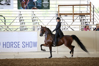 Class 223 Reg 3 HA/AA Country English Pleasure Championship JTR Select