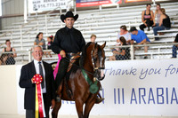 Class 225 Reg 3 HA/AA Western Pleasure Championship Junior Horse 5 yrs & Under