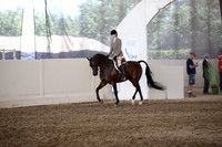 Class 226 Reg 3 Arabian Hunter Pleasure Championship AATR Select