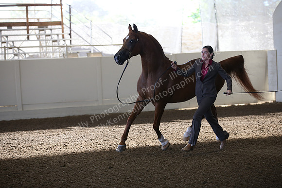 R318_SunAM_5849