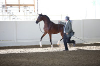 R318_SunAM_5942