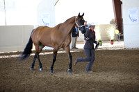 R318_SunAM_6016