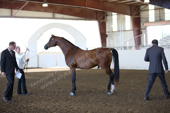 R318_SunAM_5893