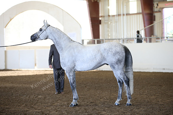 R318_SunAM_5903